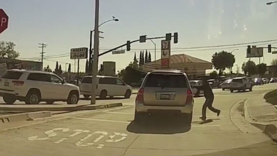 Pedestrian intentionally tries to get hit