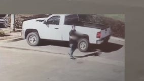 Man arrested after allegedly killing cat with hunting bow, police say