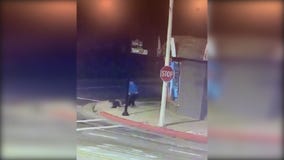 Woman attacked in El Monte