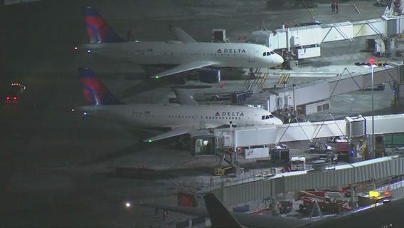 Delta flight from LAX to Seattle struck by lightning