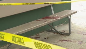 Swastikas, trail of blood found in Fairfax