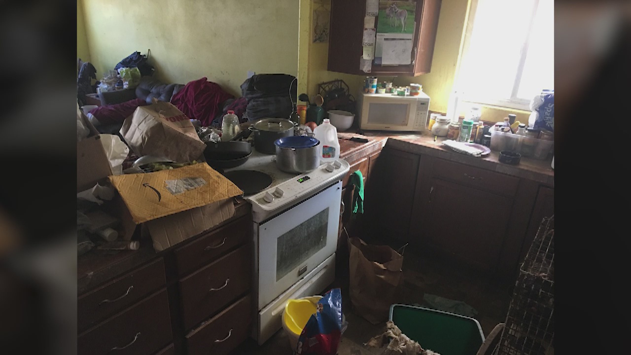 Ojai woman faces elder and animal abuse charges