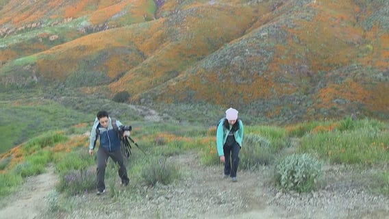 Poppy super bloom brings huge crowds to Lake Elsinore