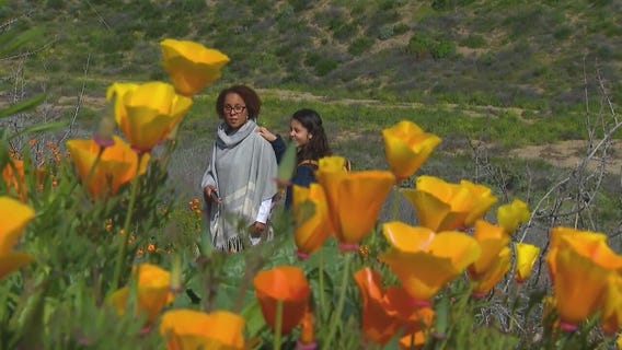 New traffic plan in place for super bloom at Lake Elsinore