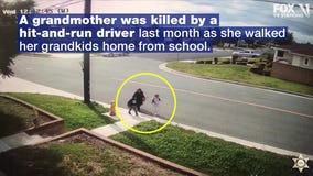 Family of grandma killed in hit-and-run plea for driver to come forward