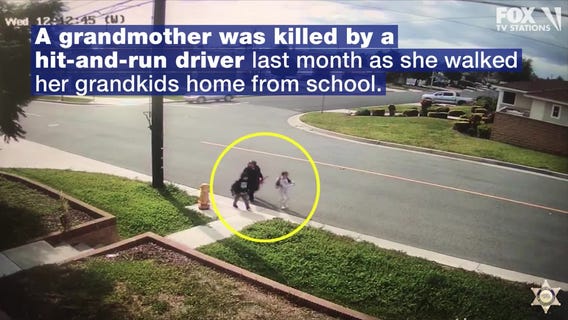 Family of grandma killed in hit-and-run plea for driver to come forward