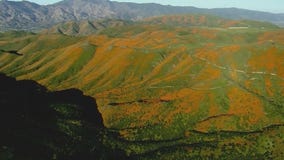 Press conference regarding huge crowds coming to see super bloom in Lake Elsinore
