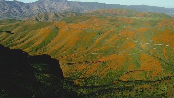 Press conference regarding huge crowds coming to see super bloom in Lake Elsinore