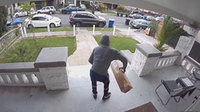 Homeowner goes after porch pirate