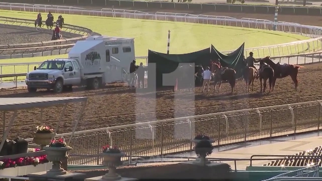 Horses will run again at Santa Anita race track