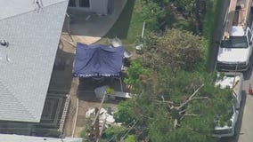 Elderly woman's body found in Arcadia yard