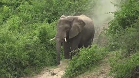 Costa Mesa woman believed to have been kidnapped