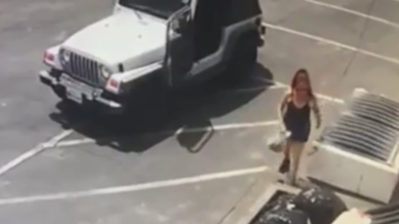 Woman seen dumping puppies in Coachella