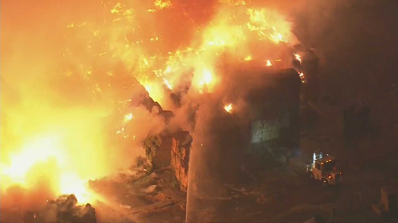 Fire at dairy farm in Chino