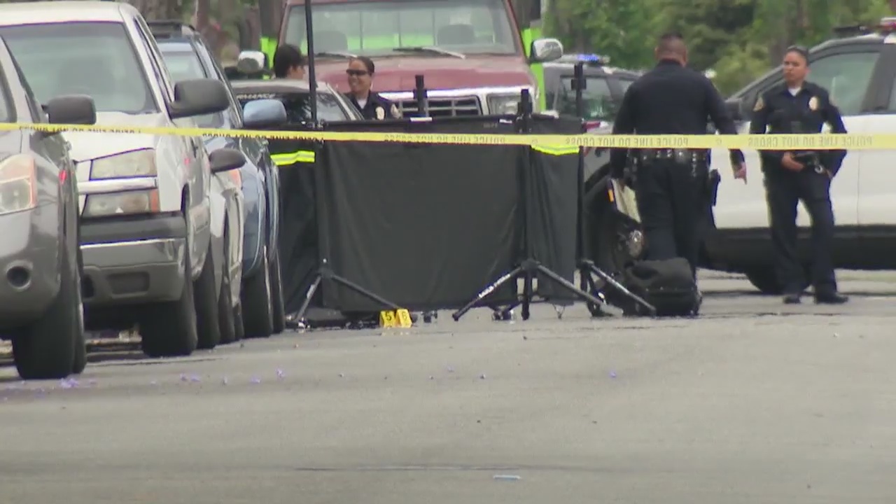 Woman beaten to death with electric scooter