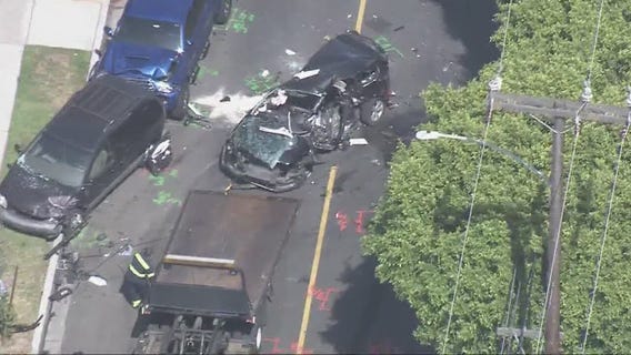 Woman, 4 dogs killed after violent pursuit crash