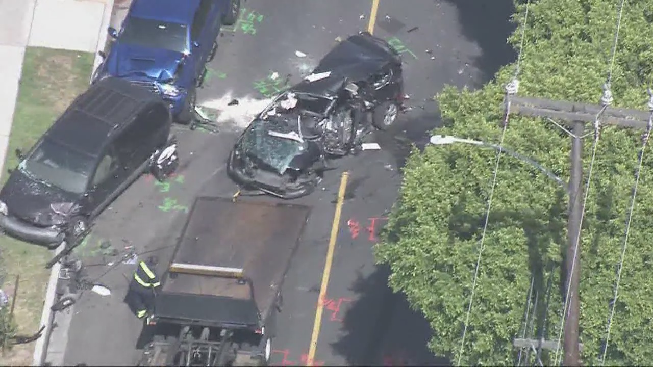 Woman, 4 dogs killed after violent pursuit crash