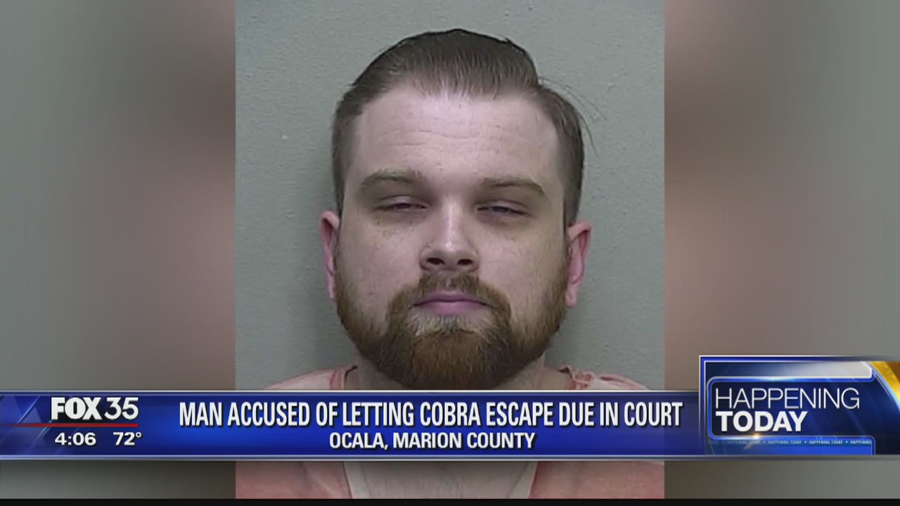 Man accused of letting cobra escape due in court