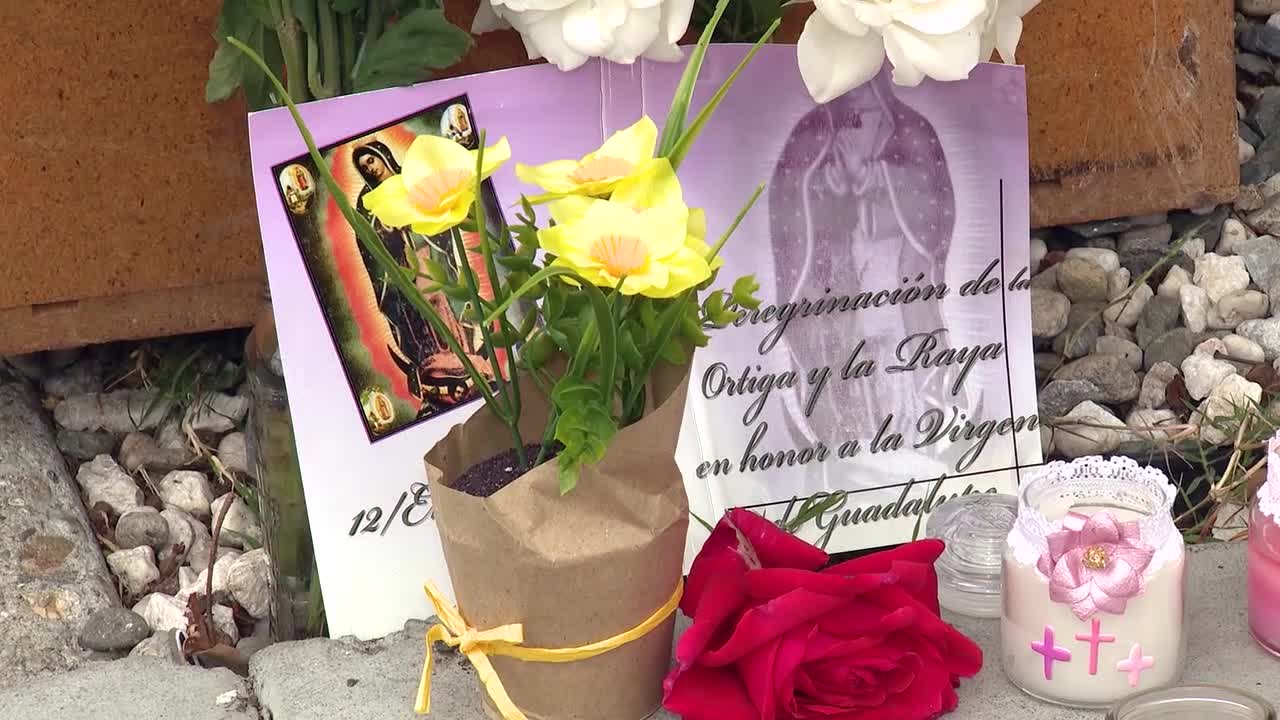 Woman beaten to death with Bird electric scooter in North Long Beach