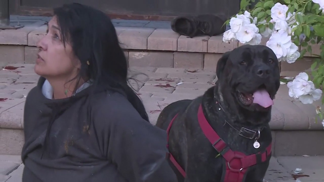 Police chase with an RV ends in Tarzana