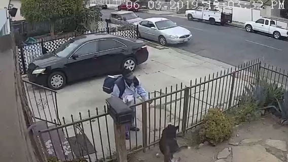 Mail carrier pepper-sprays friendly dog in Watts