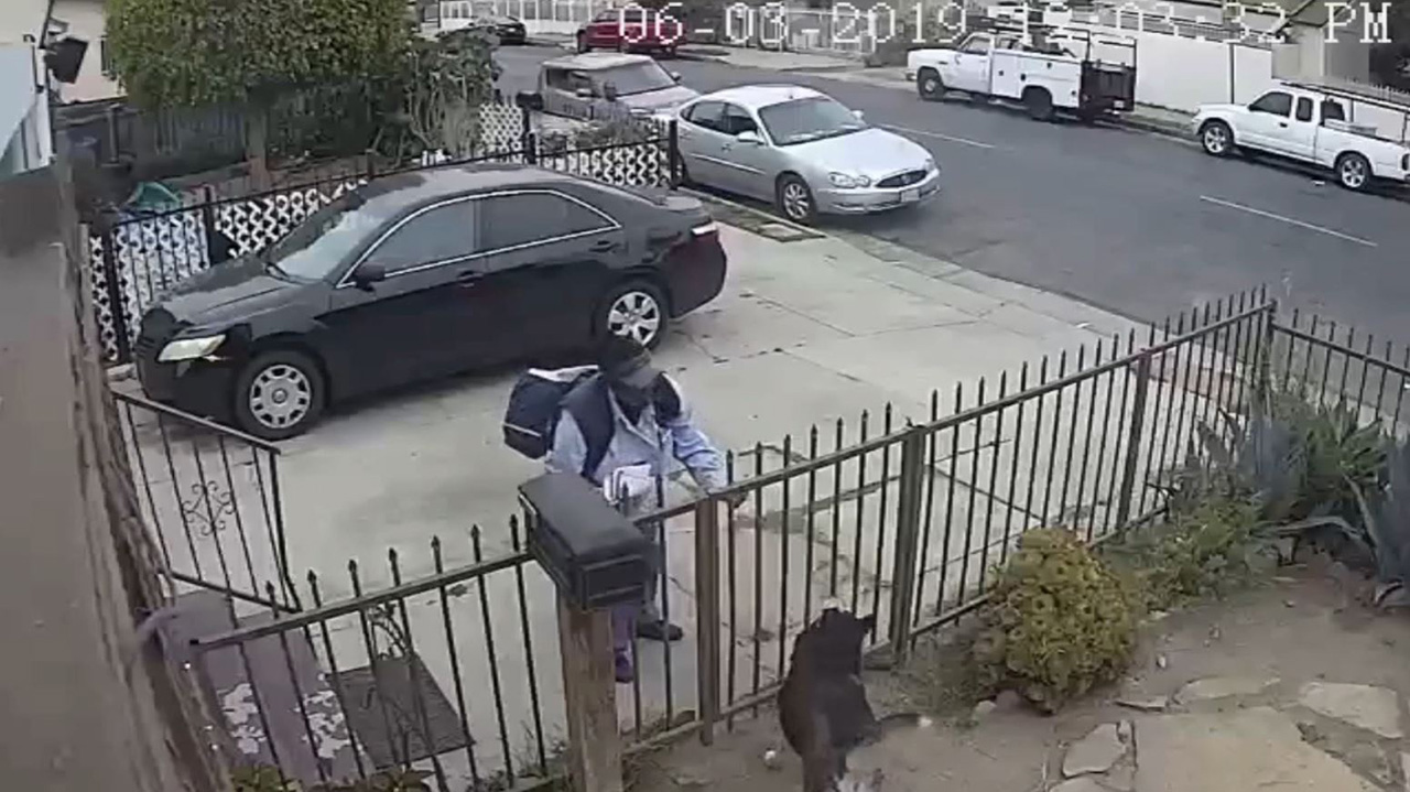 Mail carrier pepper-sprays friendly dog in Watts