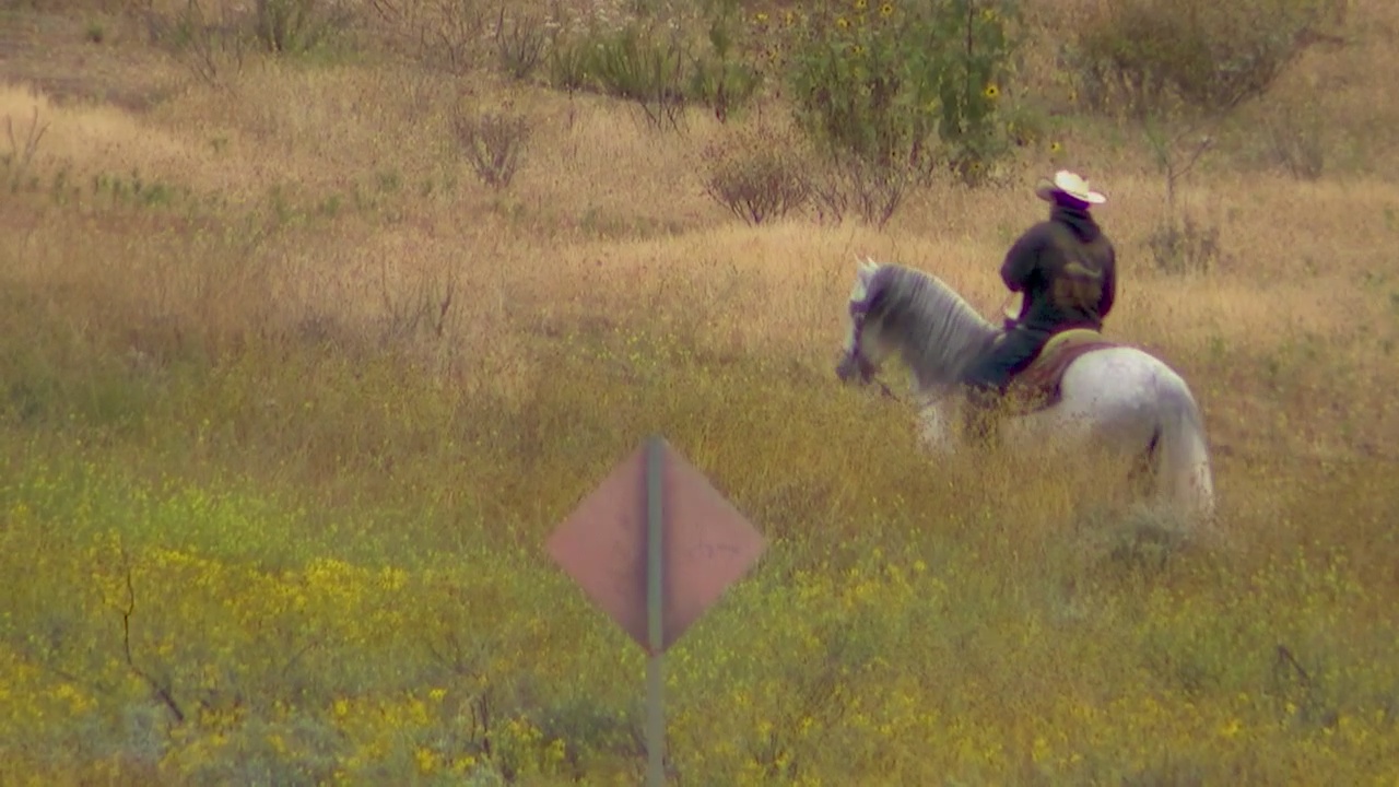 Shadow Hills wet weather