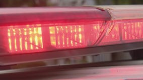 L.A. carjacking, kidnapping suspect arrested