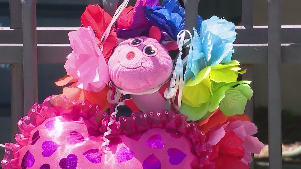 Missing NorCal man named as person of interest