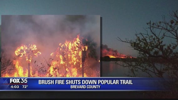 Wildfires across Florida