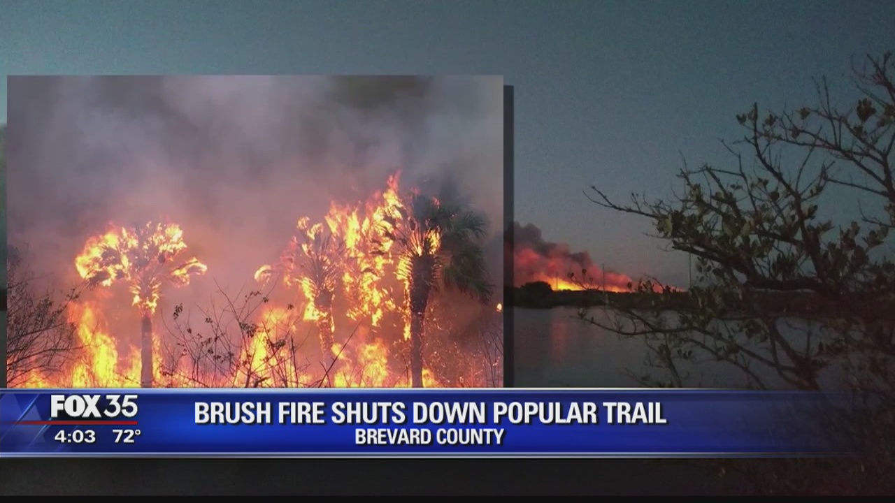 Wildfires across Florida