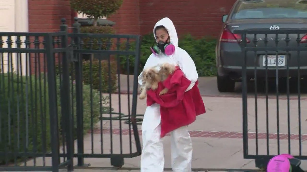 Over 100 dogs seized from Orange gated community