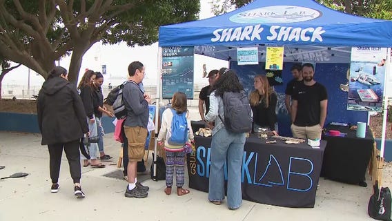 Shark Shack teaches shark safety