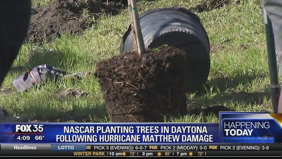 Nascar planting trees in Daytona following Hurricane Matthew damage