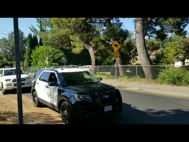 Horse traffic task force in Shadow Hills