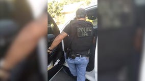 ICE agents take Echo Park woman into custody as neighbors try to intervene