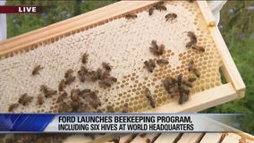Ford launches beekeeping program