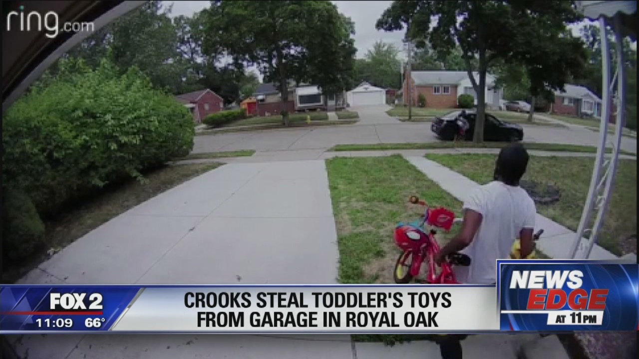 Thieves help themselves to toddler toys in Oak Park garage