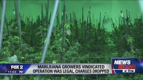 Marijuana growers vindication after operation proven legal; charges dropped