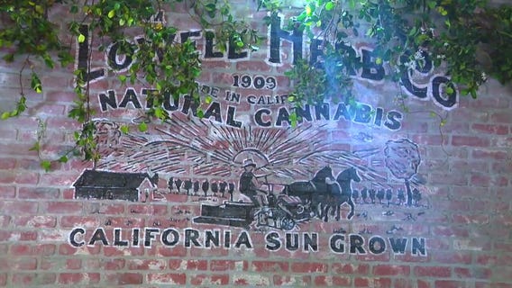 America's first cannabis cafe opens in West Hollywood