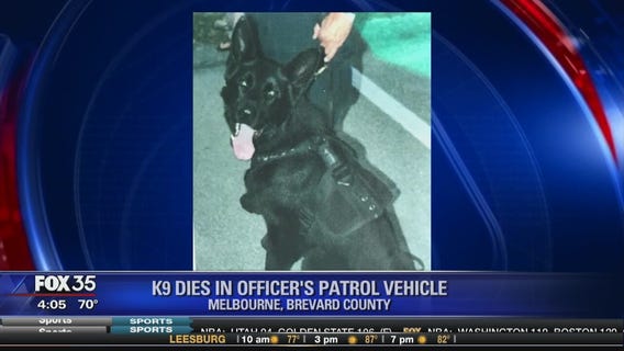 K9 dies in officer's patrol vehicle