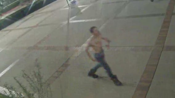 UCLA police looking for suspect who sexually battered female student