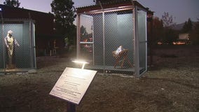 Controversial Border Wall Nativity Scene