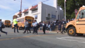 Alleged sexual predator arrested