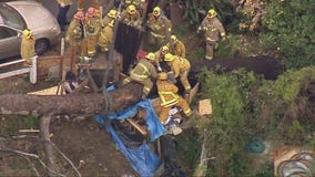 Man trapped when tree falls on camp