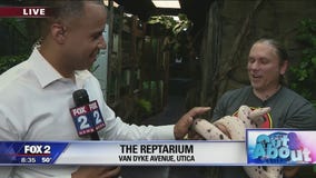 New reptile zoo in Utica promises 'hands on' experiences