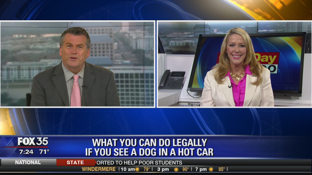 What You Can Do If You See A Dog In A Hot Car | FOX 35 Orlando