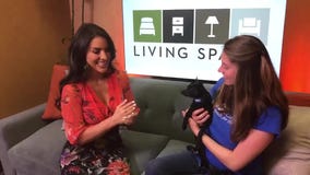 Pet Project: Piccolo at spcaLA