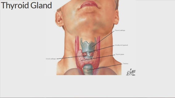 Head and neck surgeon discusses thyroid cancer and symptoms, other disorders