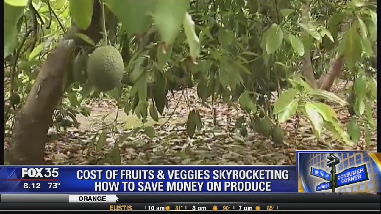 Costs of fruits and veggies skyrocketing; how to save money on produce